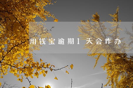 用钱宝逾期1天会咋办 用钱宝逾期1天会咋办