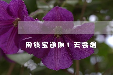 用钱宝逾期1天会爆 用钱宝逾期1天会爆
