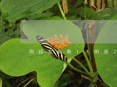 用钱宝逾期1天的还2期吗