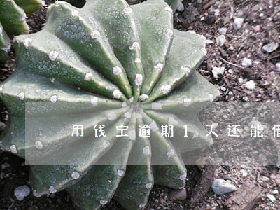 用钱宝逾期1天还能借吗 用钱宝逾期1天还能借吗