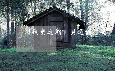 用钱宝逾期1月还能借吗 用钱宝逾期1月还能借吗