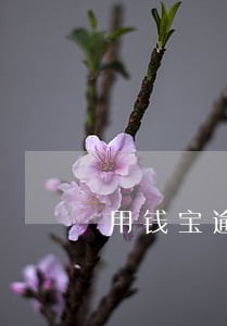 用钱宝逾期2000 用钱宝逾期2000