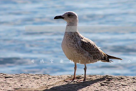 用钱宝逾期21天怎么办 用钱宝逾期21天怎么办