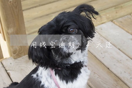 用钱宝逾期24天还 用钱宝逾期24天还