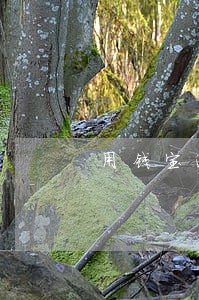 用钱宝逾期2个多月