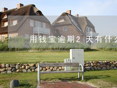 用钱宝逾期2天有什么意思 用钱宝逾期2天有什么意思