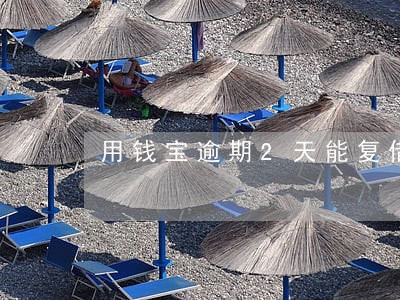 用钱宝逾期2天能复借吗 用钱宝逾期2天能复借吗
