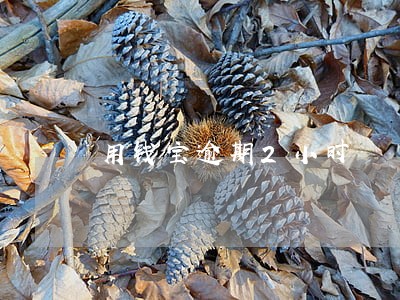 用钱宝逾期2小时 用钱宝逾期2小时