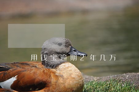 用钱宝逾期2年几万 用钱宝逾期2年几万