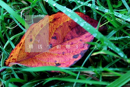 用钱宝逾期36天 用钱宝逾期36天