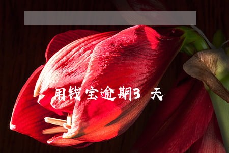 用钱宝逾期3天 用钱宝逾期3天