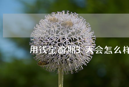 用钱宝逾期3天会怎么样 用钱宝逾期3天会怎么样