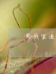 用钱宝逾期3天爆吗 用钱宝逾期3天爆吗