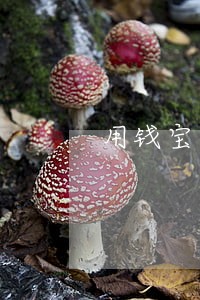 用钱宝逾期3天爆通讯录 用钱宝逾期3天爆通讯录