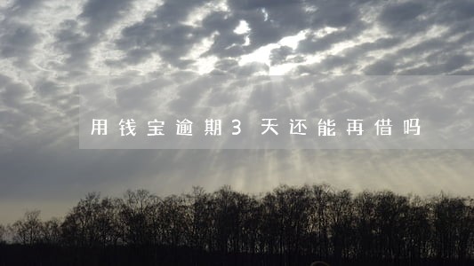 用钱宝逾期3天还能再借吗 用钱宝逾期3天还能再借吗