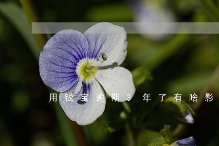 用钱宝逾期3年了有啥影响 用钱宝逾期3年了有啥影响