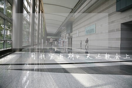 用钱宝逾期4天还款会上征信吗 用钱宝逾期4天还款会上征信吗