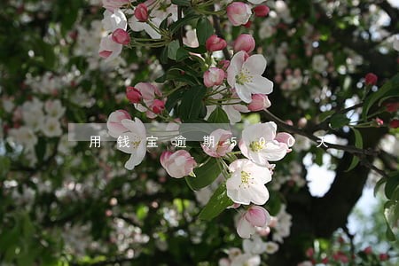 用钱宝逾期500天 用钱宝逾期500天
