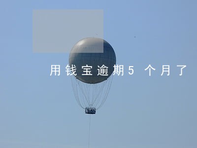 用钱宝逾期5个月了 用钱宝逾期5个月了