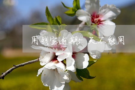 用钱宝逾期5天不能用 用钱宝逾期5天不能用