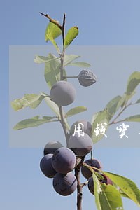 用钱宝逾期5天会轰炸吗 用钱宝逾期5天会轰炸吗