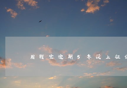 用钱宝逾期5年没上征信还本金 用钱宝逾期5年没上征信还本金