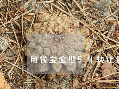 用钱宝逾期5年转让债权没上征信 用钱宝逾期5年转让债权没上征信