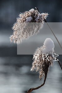用钱宝逾期6天还了还能借 用钱宝逾期6天还了还能借