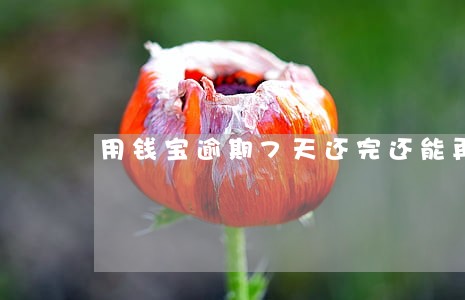 用钱宝逾期7天还完还能再借吗 用钱宝逾期7天还完还能再借吗