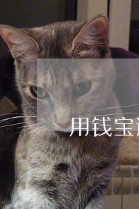 用钱宝逾期8个月会上门 用钱宝逾期8个月会上门