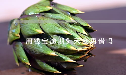 用钱宝逾期9天会再借吗 用钱宝逾期9天会再借吗