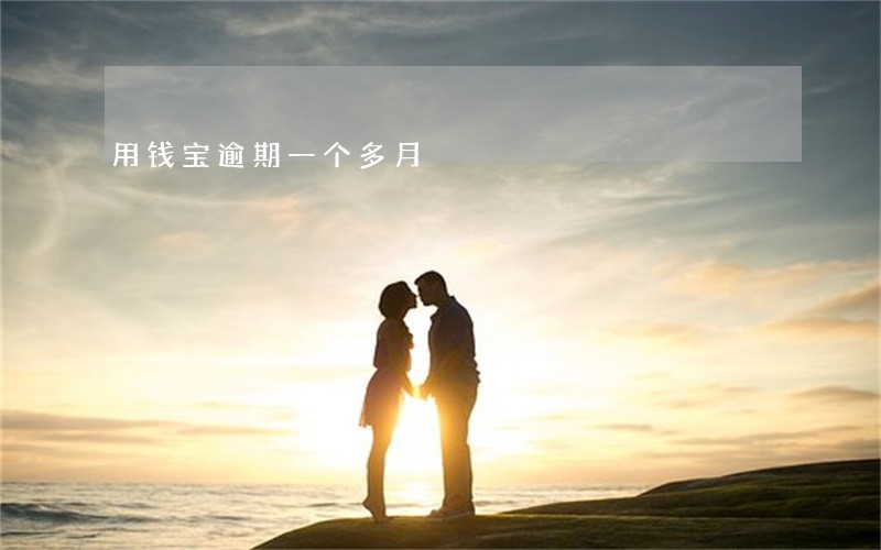 用钱宝逾期一个多月 用钱宝逾期一个多月