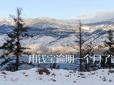 用钱宝逾期一个月了说告我 用钱宝逾期一个月了说告我