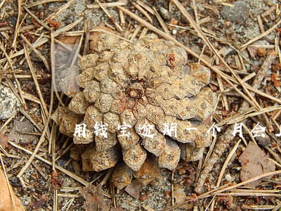 用钱宝逾期一个月会上门吗 用钱宝逾期一个月会上门吗