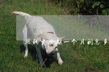 用钱宝逾期一个月利息多少 用钱宝逾期一个月利息多少