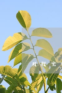 用钱宝逾期一个月芝麻分没被扣 用钱宝逾期一个月芝麻分没被扣