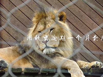用钱宝逾期一个月费用 用钱宝逾期一个月费用