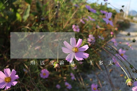 用钱宝逾期一千多天 用钱宝逾期一千多天