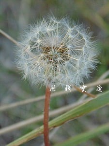 用钱宝逾期一天不能贷款 用钱宝逾期一天不能贷款