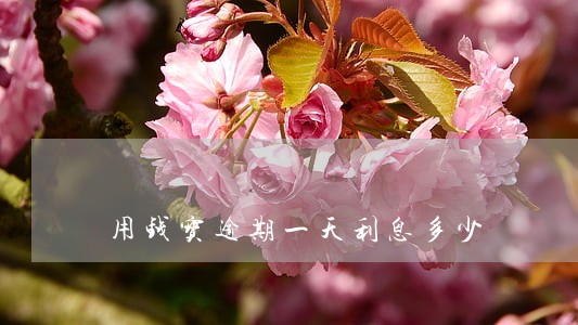 用钱宝逾期一天利息多少 用钱宝逾期一天利息多少