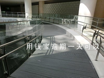 用钱宝逾期一天可以下吗 用钱宝逾期一天可以下吗
