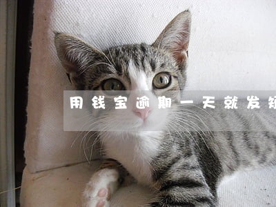 用钱宝逾期一天就发短信 用钱宝逾期一天就发短信