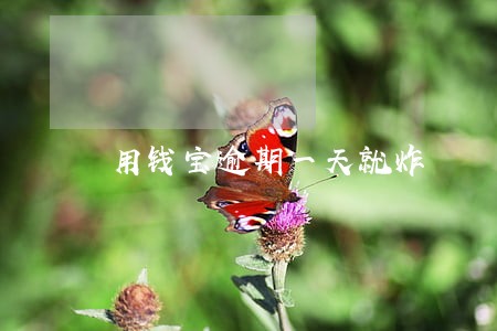 用钱宝逾期一天就炸 用钱宝逾期一天就炸