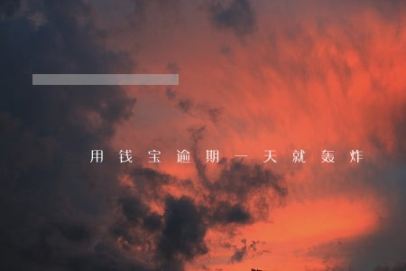 用钱宝逾期一天就轰炸 用钱宝逾期一天就轰炸