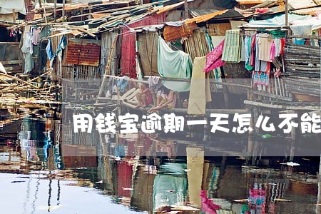 用钱宝逾期一天怎么不能借了 用钱宝逾期一天怎么不能借了