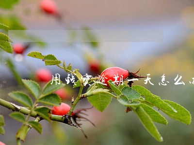 用钱宝逾期一天怎么办 用钱宝逾期一天怎么办