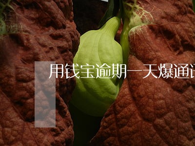 用钱宝逾期一天爆通讯录 用钱宝逾期一天爆通讯录