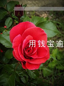 用钱宝逾期一天爆通讯录吗