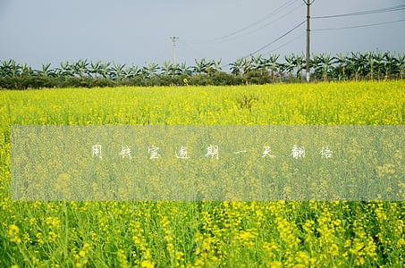 用钱宝逾期一天翻倍
