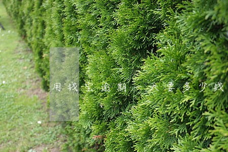 用钱宝逾期一天要多少钱 用钱宝逾期一天要多少钱